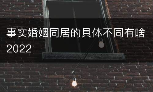 事实婚姻同居的具体不同有啥2022