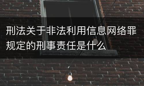 刑法关于非法利用信息网络罪规定的刑事责任是什么