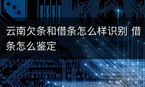 云南欠条和借条怎么样识别 借条怎么鉴定