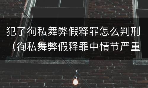犯了徇私舞弊假释罪怎么判刑（徇私舞弊假释罪中情节严重如何界定）