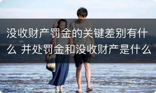 没收财产罚金的关键差别有什么 并处罚金和没收财产是什么意思