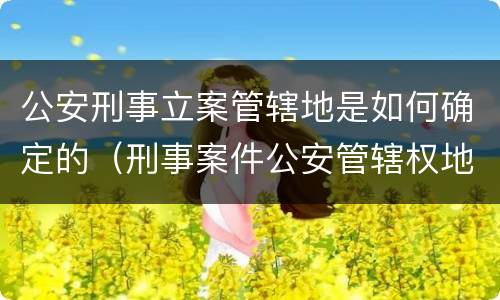 公安刑事立案管辖地是如何确定的（刑事案件公安管辖权地域归属）