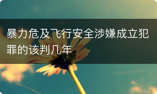 暴力危及飞行安全涉嫌成立犯罪的该判几年