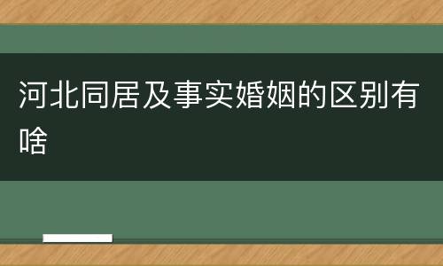 河北同居及事实婚姻的区别有啥