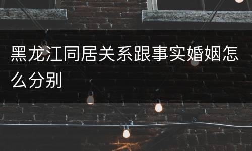 黑龙江同居关系跟事实婚姻怎么分别