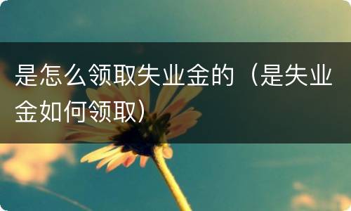 是怎么领取失业金的（是失业金如何领取）