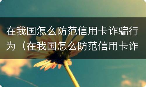 在我国怎么防范信用卡诈骗行为（在我国怎么防范信用卡诈骗行为发生）