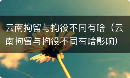 云南拘留与拘役不同有啥（云南拘留与拘役不同有啥影响）