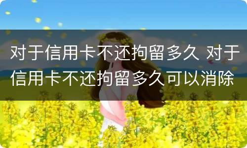 对于信用卡不还拘留多久 对于信用卡不还拘留多久可以消除