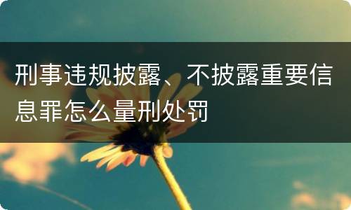 刑事违规披露、不披露重要信息罪怎么量刑处罚