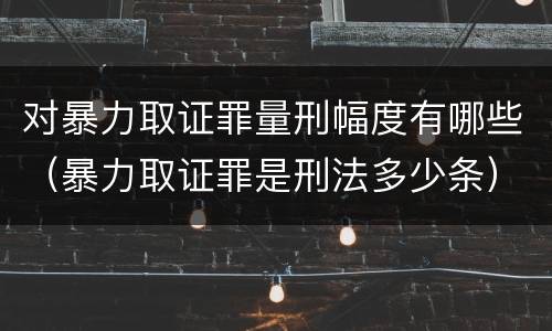 对暴力取证罪量刑幅度有哪些（暴力取证罪是刑法多少条）