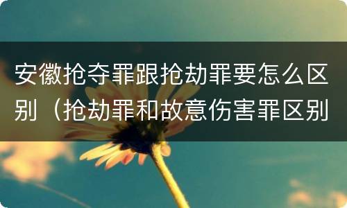 安徽抢夺罪跟抢劫罪要怎么区别（抢劫罪和故意伤害罪区别）