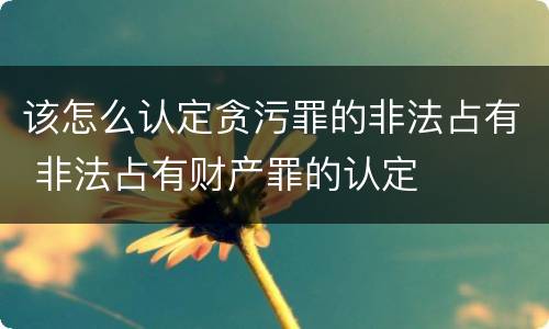 该怎么认定贪污罪的非法占有 非法占有财产罪的认定
