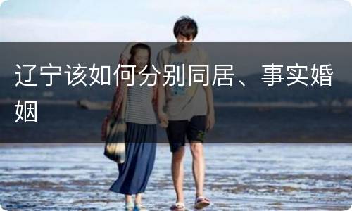 辽宁该如何分别同居、事实婚姻
