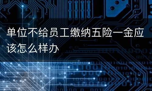 单位不给员工缴纳五险一金应该怎么样办