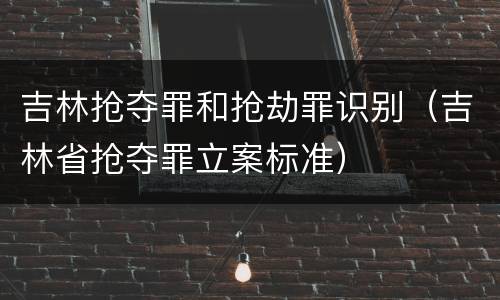 吉林抢夺罪和抢劫罪识别（吉林省抢夺罪立案标准）