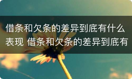 借条和欠条的差异到底有什么表现 借条和欠条的差异到底有什么表现和影响