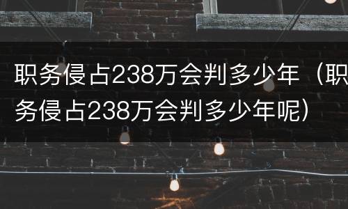 职务侵占238万会判多少年（职务侵占238万会判多少年呢）