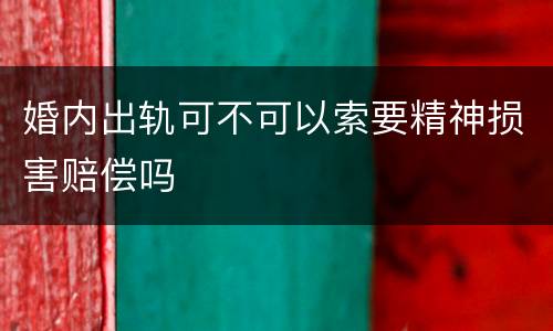 婚内出轨可不可以索要精神损害赔偿吗