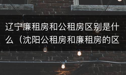 辽宁廉租房和公租房区别是什么（沈阳公租房和廉租房的区别）