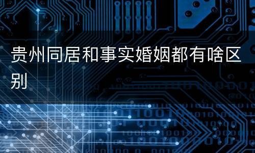 贵州同居和事实婚姻都有啥区别