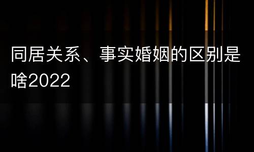 同居关系、事实婚姻的区别是啥2022