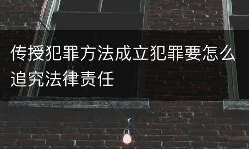 传授犯罪方法成立犯罪要怎么追究法律责任