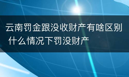云南罚金跟没收财产有啥区别 什么情况下罚没财产