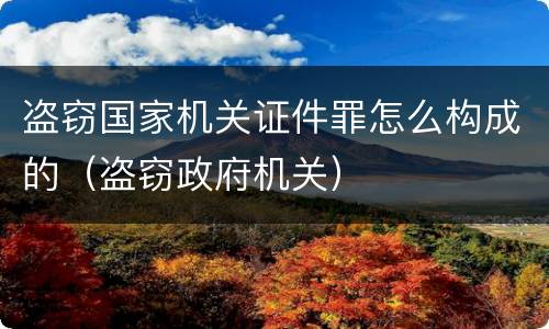 盗窃国家机关证件罪怎么构成的（盗窃政府机关）