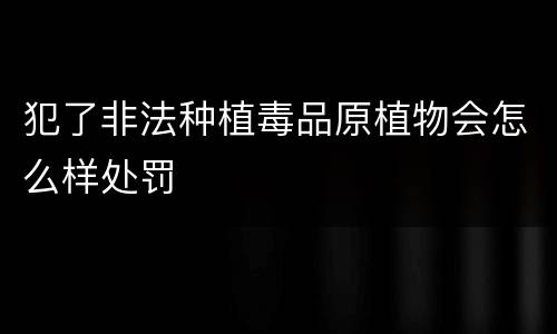 犯了非法种植毒品原植物会怎么样处罚