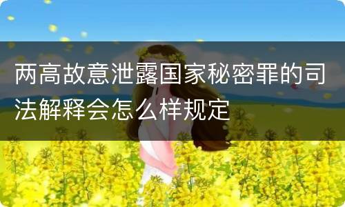 两高故意泄露国家秘密罪的司法解释会怎么样规定