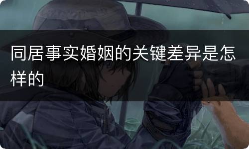 同居事实婚姻的关键差异是怎样的