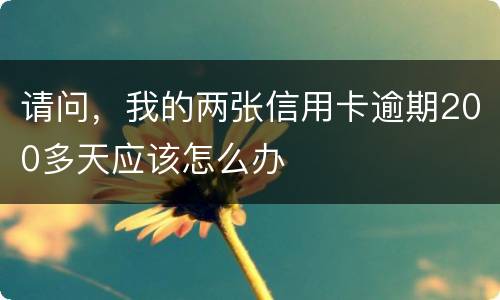 请问，我的两张信用卡逾期200多天应该怎么办