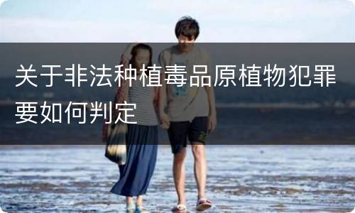关于非法种植毒品原植物犯罪要如何判定