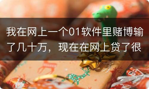 我在网上一个01软件里赌博输了几十万，现在在网上贷了很多网贷，还不起了，怎么办