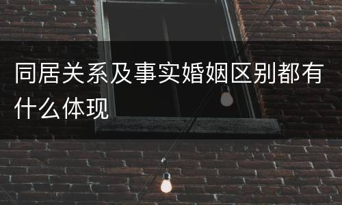 同居关系及事实婚姻区别都有什么体现
