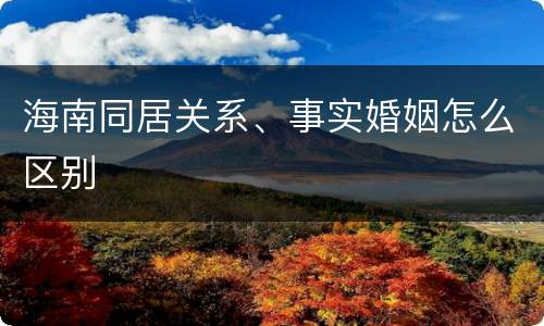 海南同居关系、事实婚姻怎么区别