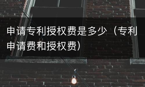 申请专利授权费是多少（专利申请费和授权费）