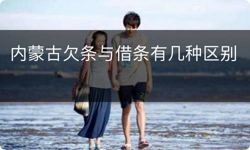 内蒙古欠条与借条有几种区别