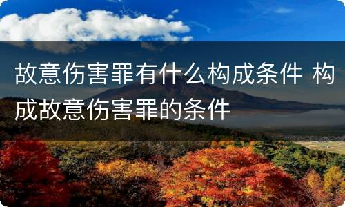 故意伤害罪有什么构成条件 构成故意伤害罪的条件