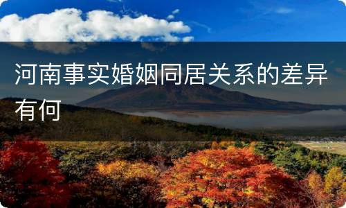 河南事实婚姻同居关系的差异有何