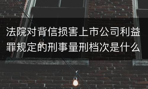 法院对背信损害上市公司利益罪规定的刑事量刑档次是什么样的