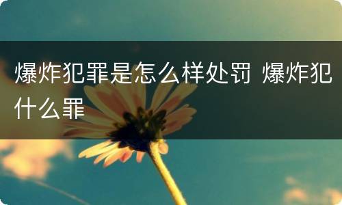 爆炸犯罪是怎么样处罚 爆炸犯什么罪