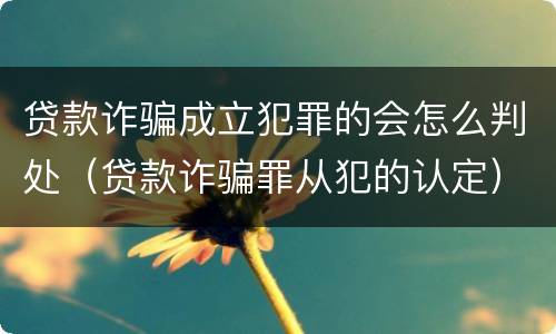 贷款诈骗成立犯罪的会怎么判处（贷款诈骗罪从犯的认定）