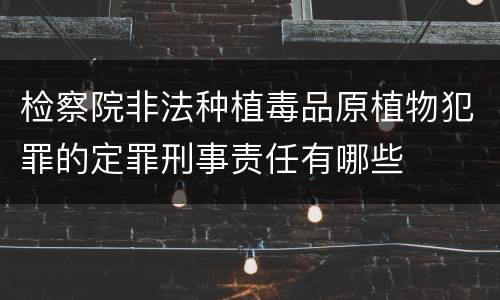 检察院非法种植毒品原植物犯罪的定罪刑事责任有哪些