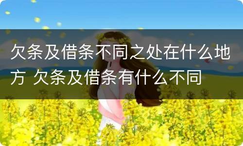 欠条及借条不同之处在什么地方 欠条及借条有什么不同