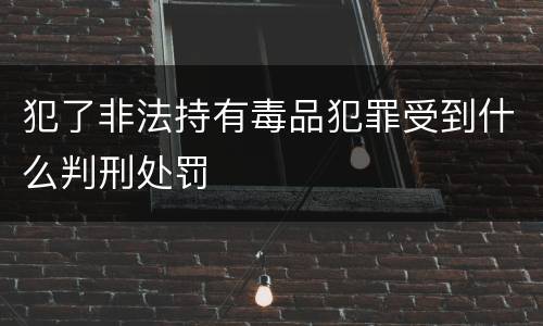 犯了非法持有毒品犯罪受到什么判刑处罚