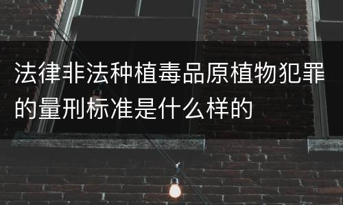 法律非法种植毒品原植物犯罪的量刑标准是什么样的