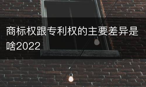 商标权跟专利权的主要差异是啥2022