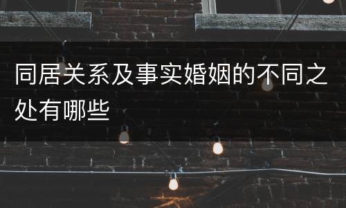 同居关系及事实婚姻的不同之处有哪些